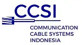 CCSi