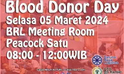 BRL Donor Day